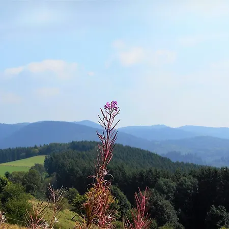 Blickfang Lejlighed Winterberg