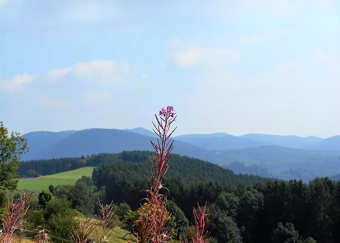 Blickfang Appartement Winterberg